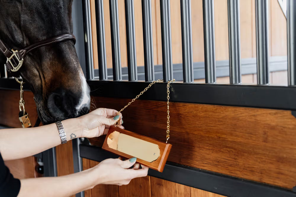 Kentucky Horsewear Stable Name Plate Hanger