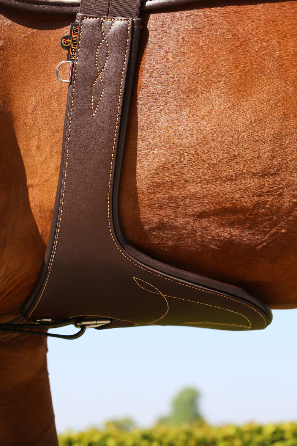 Kentucky Horsewear Stud Girth Brown