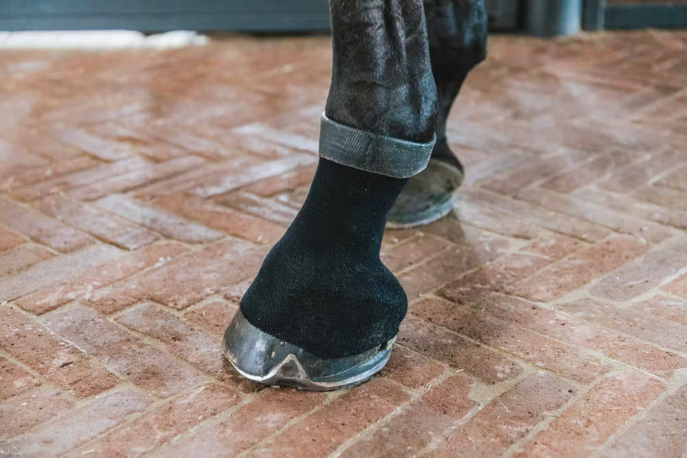 Kentucky Tendon Grip Gel Sock