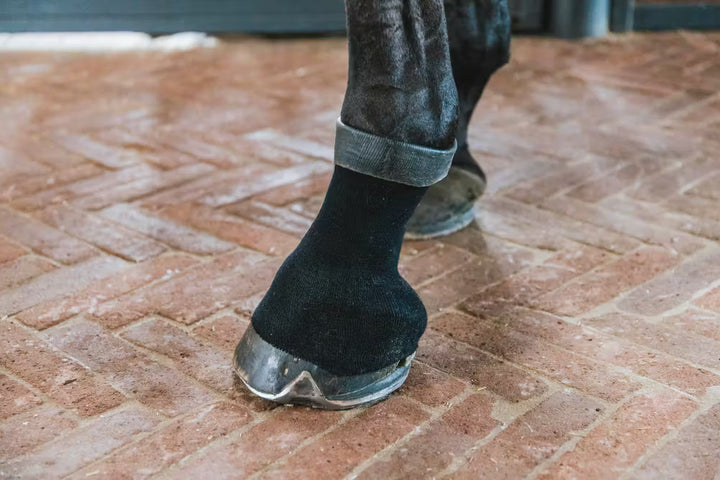 Kentucky Tendon Grip Gel Sock
