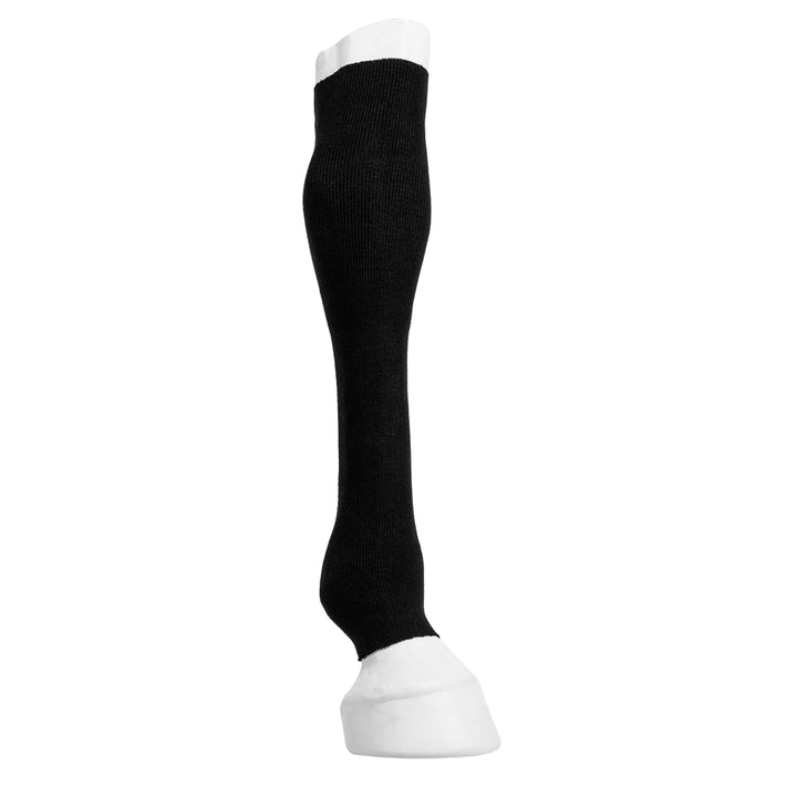One Equestrian Tendon Tube