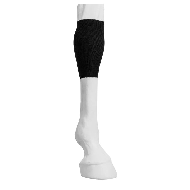 One Equestrian Tendon Tube