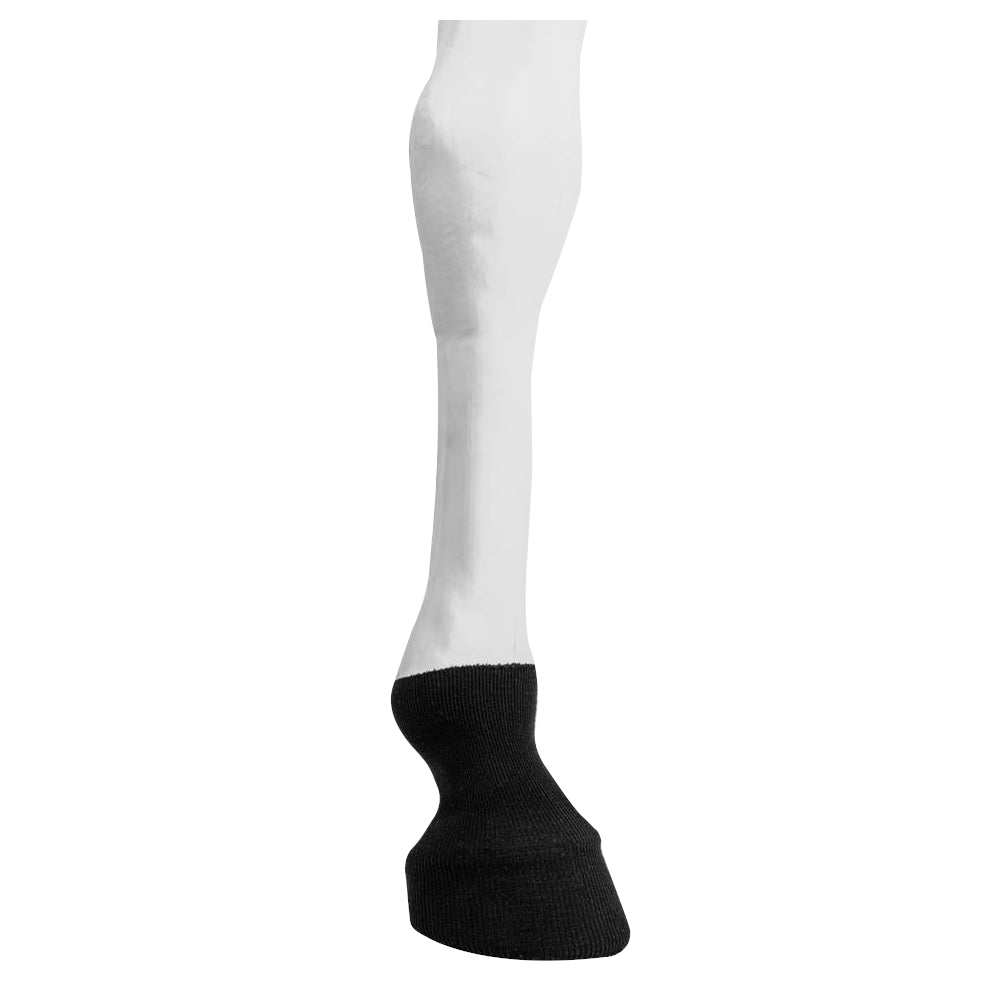 One Equestrian Tendon Tube