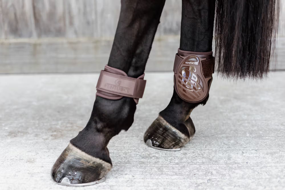 Kentucky Horsewear Young Horse Fetlock Boots