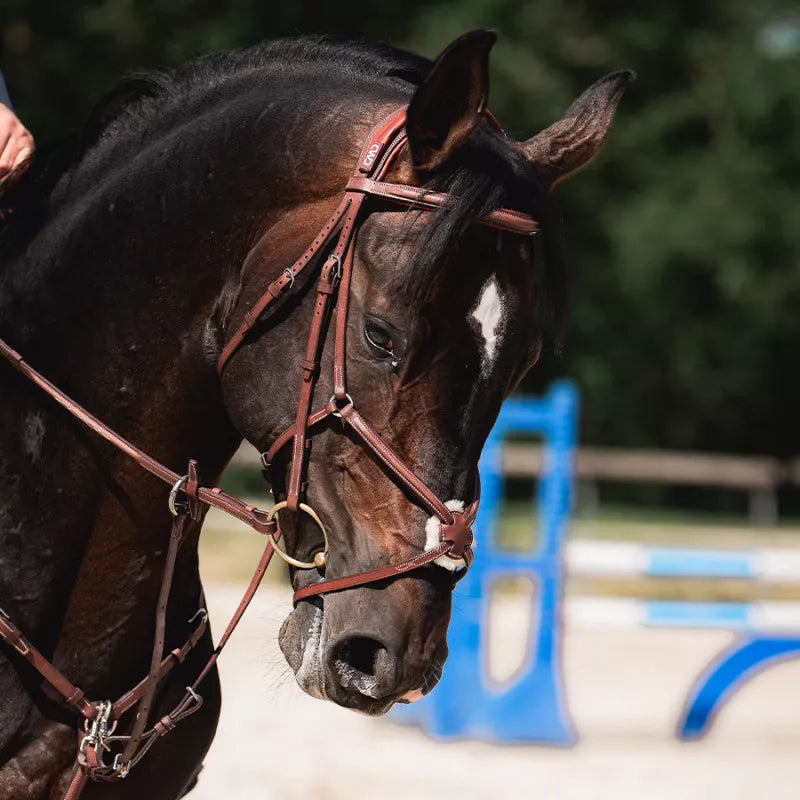 CWD Anatomic Figure Of 8 Noseband Snaffle Bridle