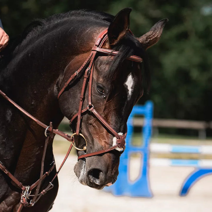 CWD Anatomic Figure Of 8 Noseband Snaffle Bridle