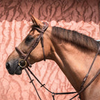 CWD Anatomic French Noseband Bridle