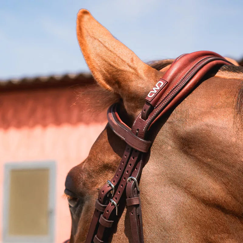 CWD Anatomic French Noseband Bridle