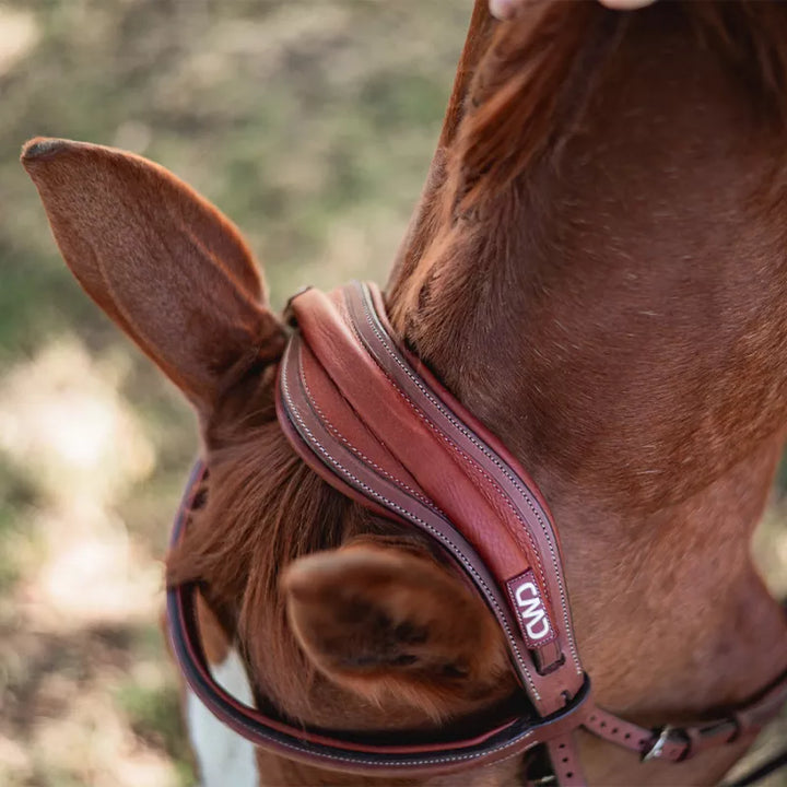 CWD Anatomic Headpiece