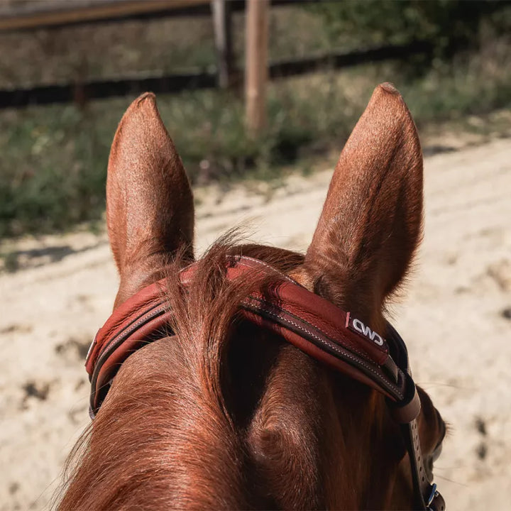 CWD Anatomic Headpiece