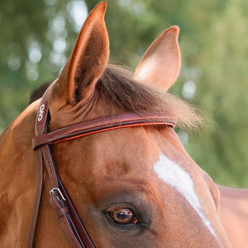 CWD Browband