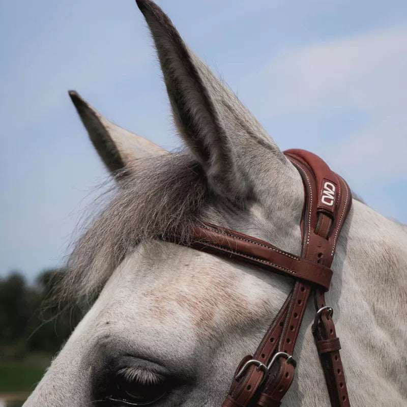 CWD Browband