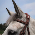CWD Browband