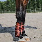 CWD Buckle Tendon Boots With Calfskin Lining