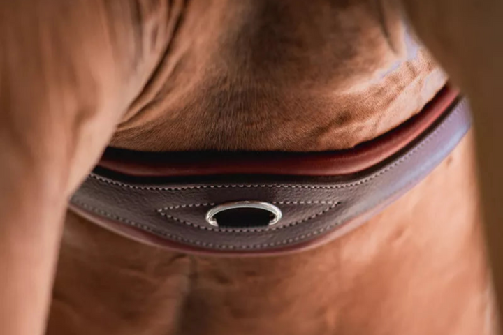 CWD Classic Girth
