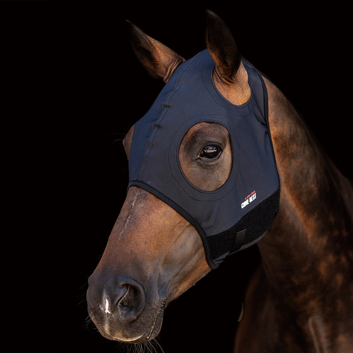 Lami-Cell Titanium Mask Come Best No Ears