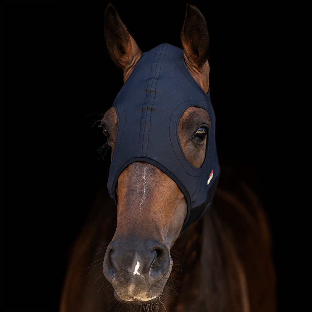 Lami-Cell Titanium Mask Come Best No Ears