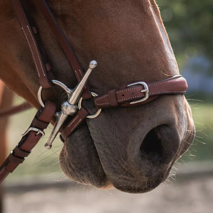 CWD Drop Noseband