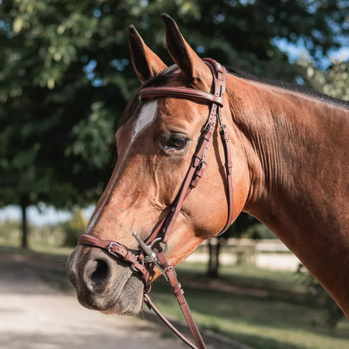 CWD Drop Noseband