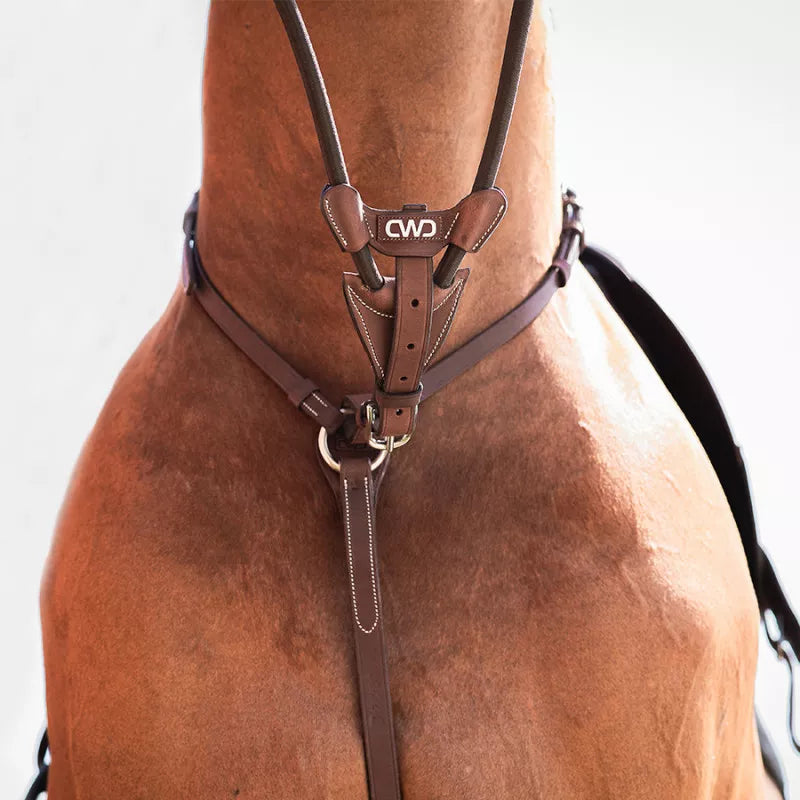 CWD Elastic Running Martingale