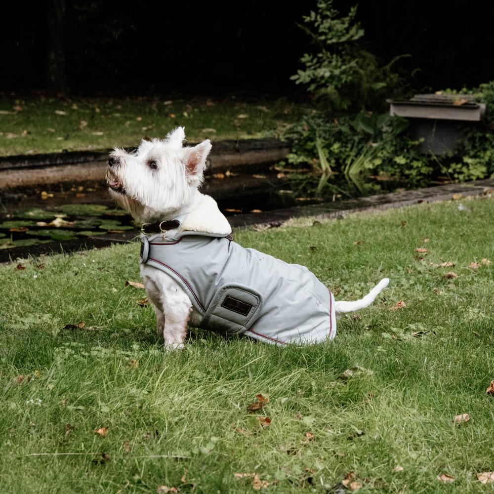 Kentucky Horsewear Dog Coat Waterproof 160g dusty blue