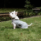 Kentucky Horsewear Dog Coat Waterproof 160g dusty blue