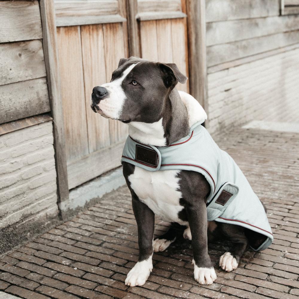 Kentucky Horsewear Dog Coat Waterproof 160g dusty blue