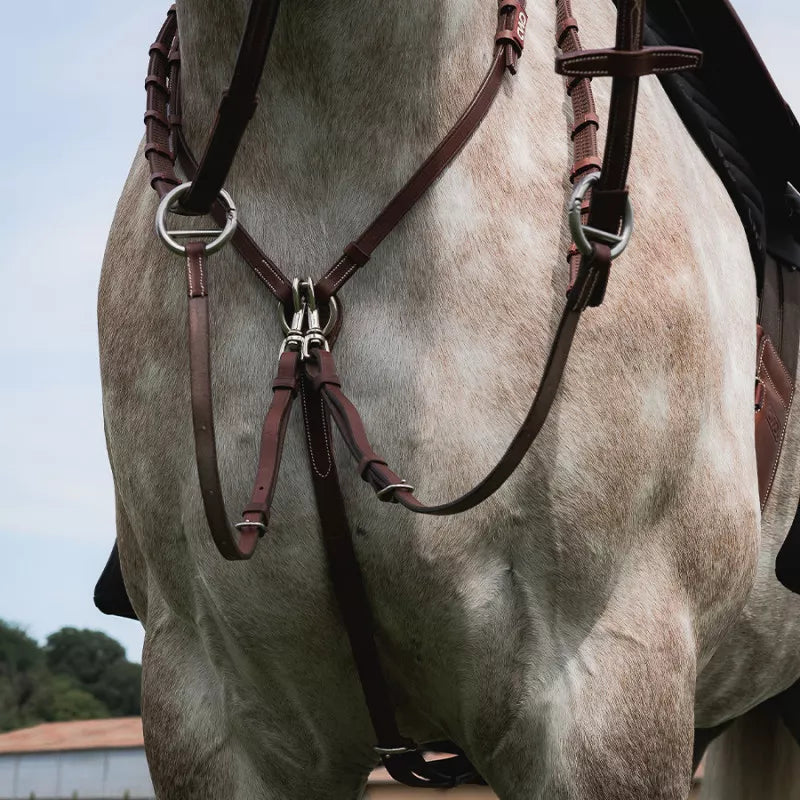 CWD Fork For Martingale Hunter