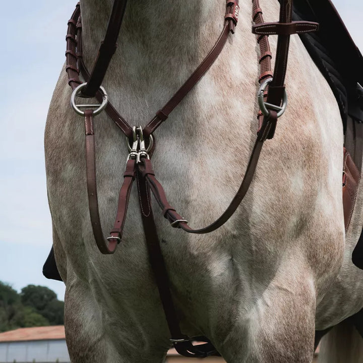CWD Fork For Martingale Hunter