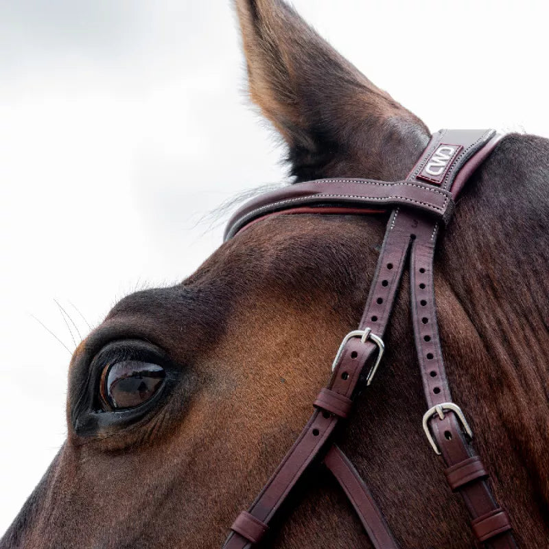 CWD Hackamore Bridle