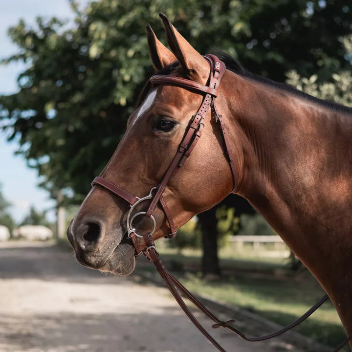 CWD Hackamore Noseband