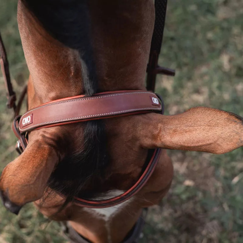 CWD Headpiece
