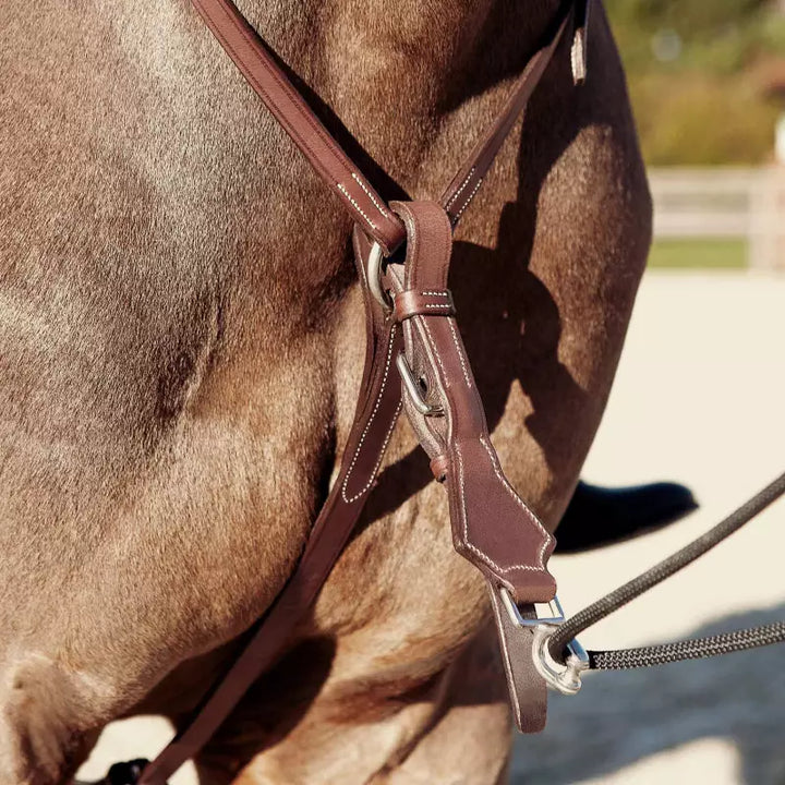 CWD Howlet