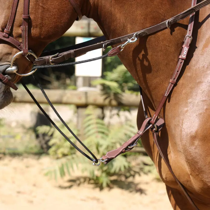 CWD Howlet