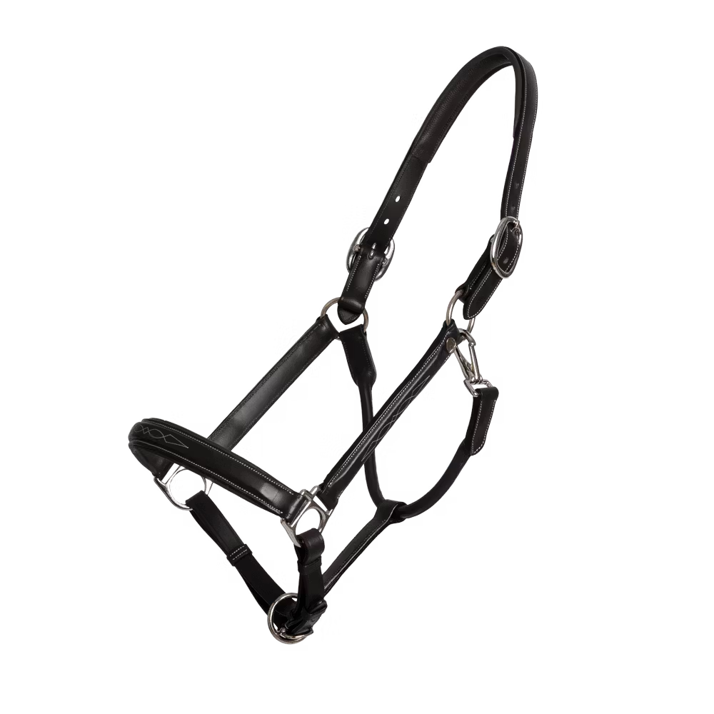 Dyon Working Collection Leather Head Collar