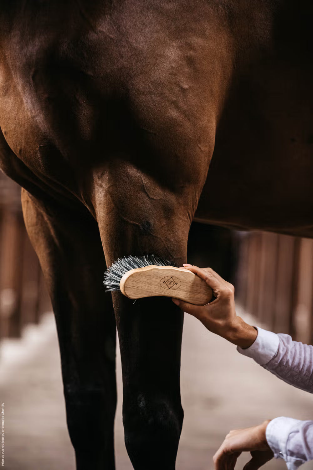 Kentucky Horsewear Middle Hard Brush