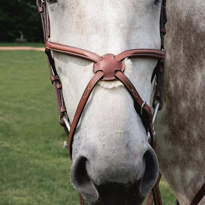 CWD Raised Figure 8 Noseband