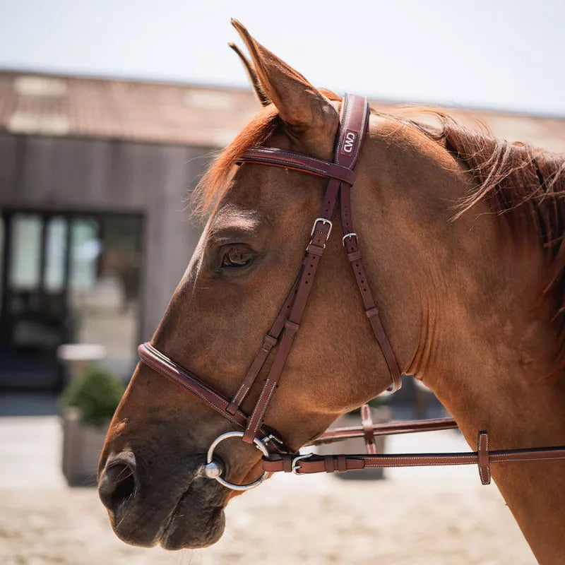 CWD Raised French Noseband Bridle