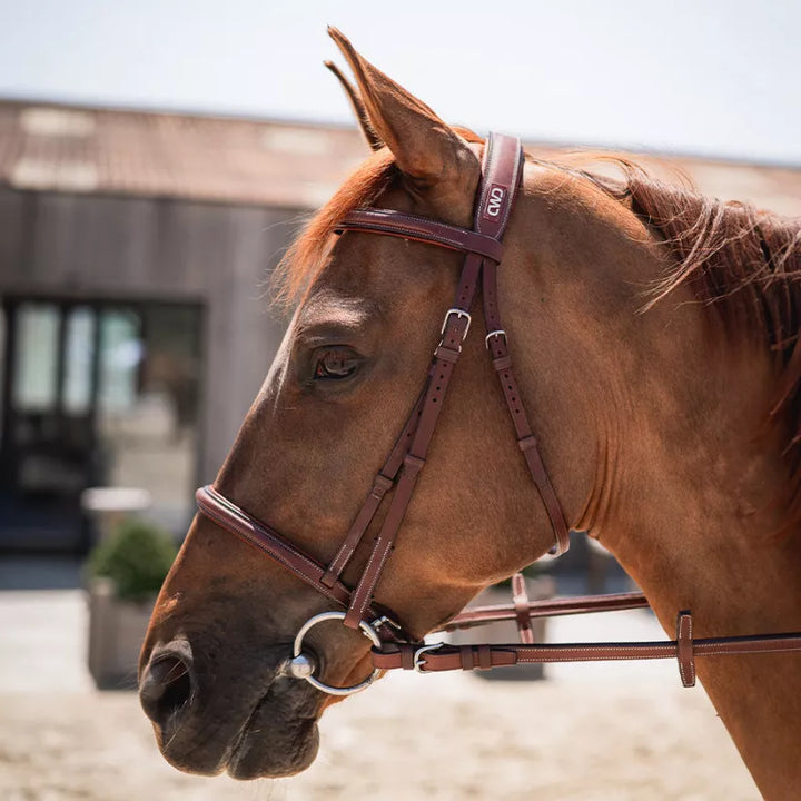 CWD Raised French Noseband Bridle