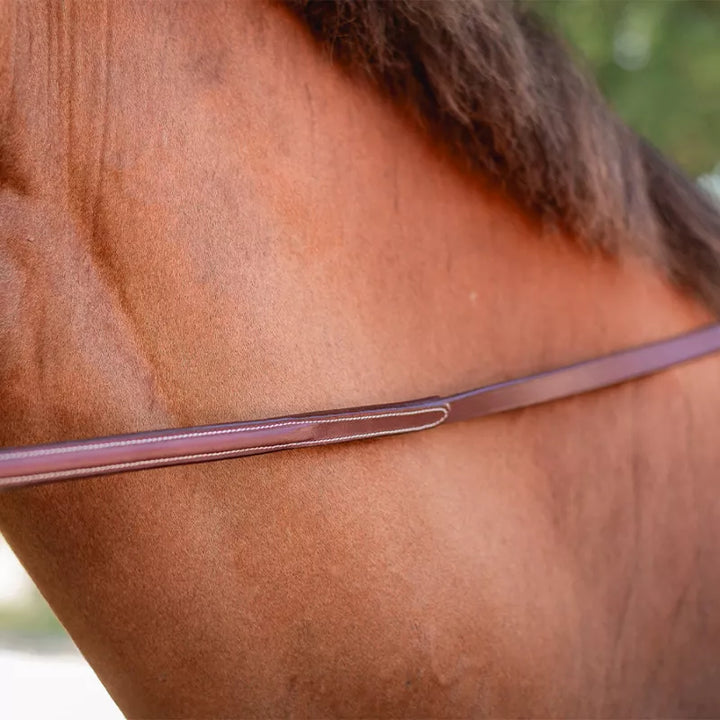 CWD Raised Leather Contact Reins