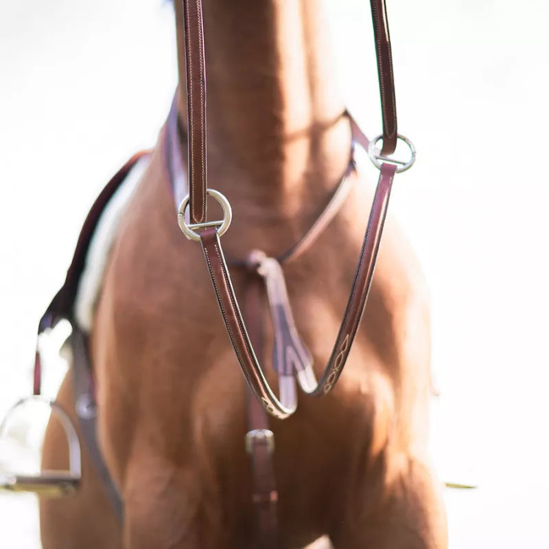 CWD Raised Running Martingale With Fancy Stitching