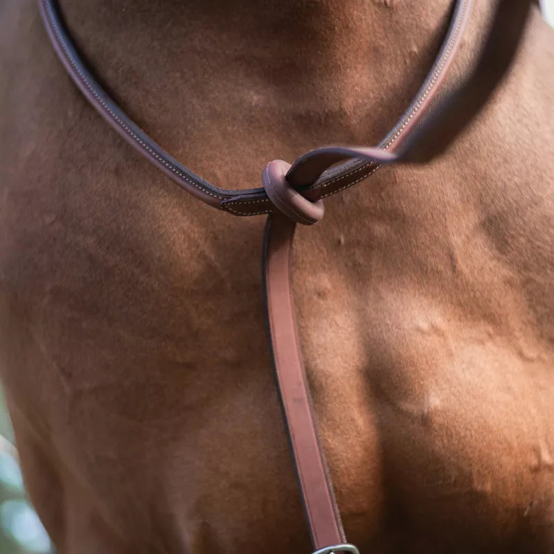 CWD Raised Running Martingale With Fancy Stitching