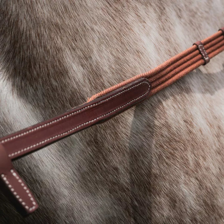 CWD Raised Web Reins