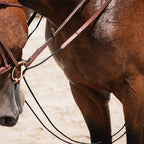 CWD Rope German Draw Reins