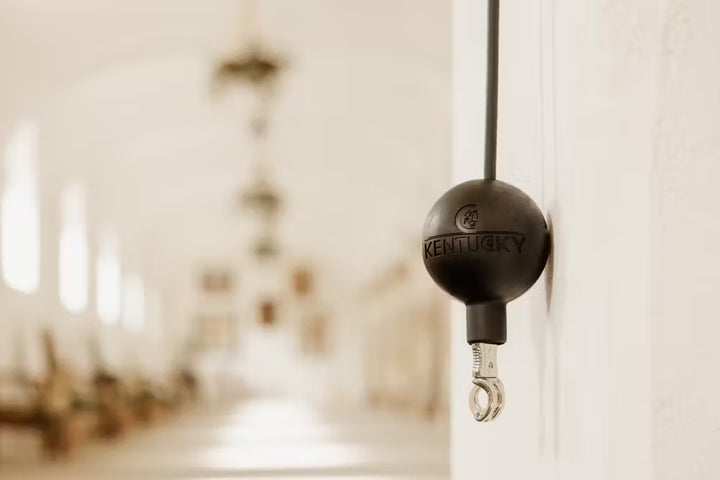 Kentucky Rubber Ball Protection Wall & Lead