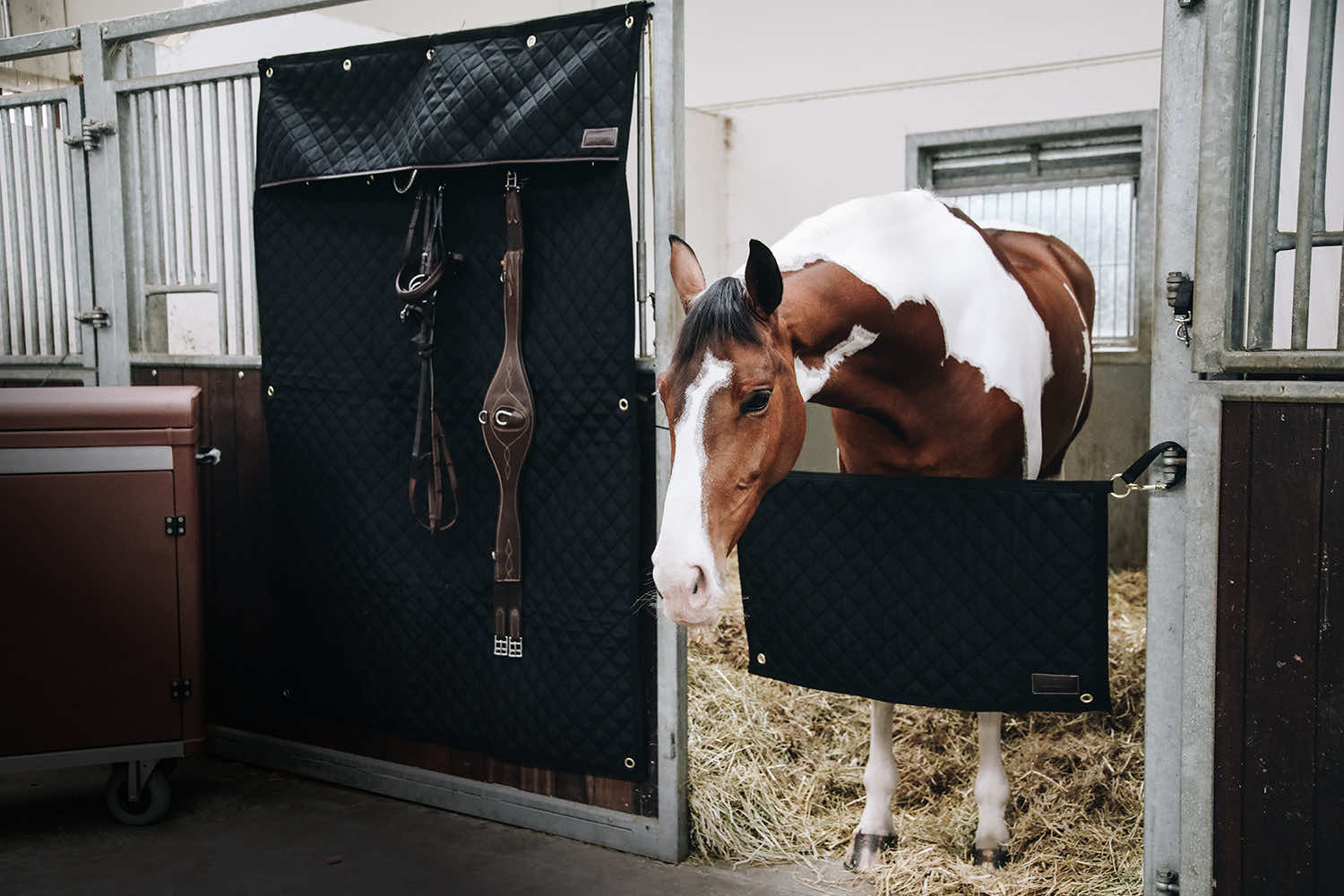 Stable