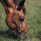 CWD Stable Halter