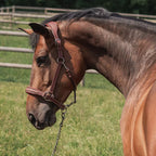 CWD Stable Halter