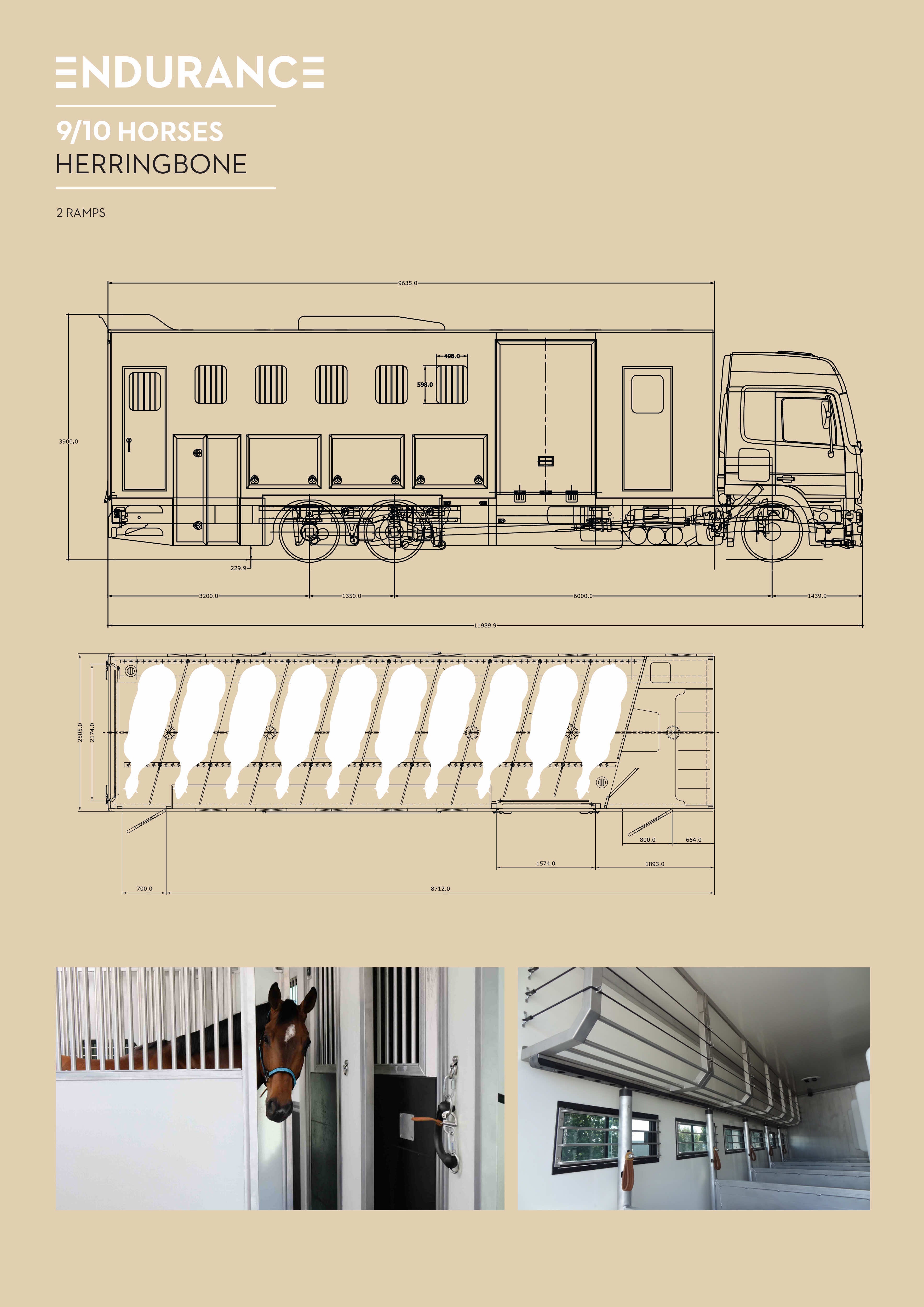 Floor plan of the Theault Endurance horsebox for 9 to 10 horses