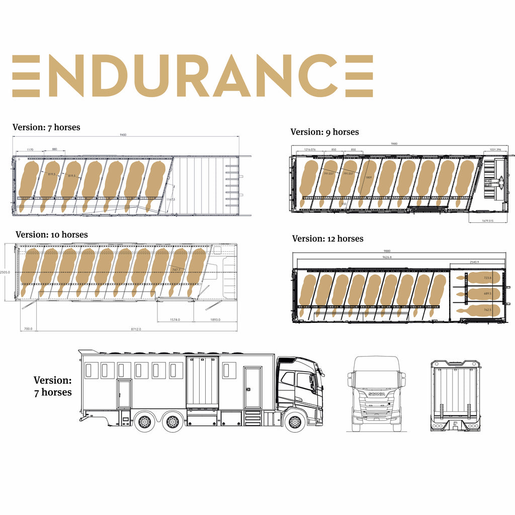 Theault Endurance horsebox floor plan and layout diagram